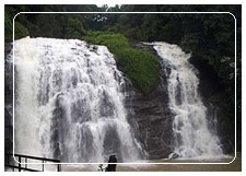 Coorg, karnataka, India